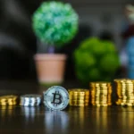 Exploring the Thrills of gocryptobet.com Bet: A Guide to Secure and Fun Betting